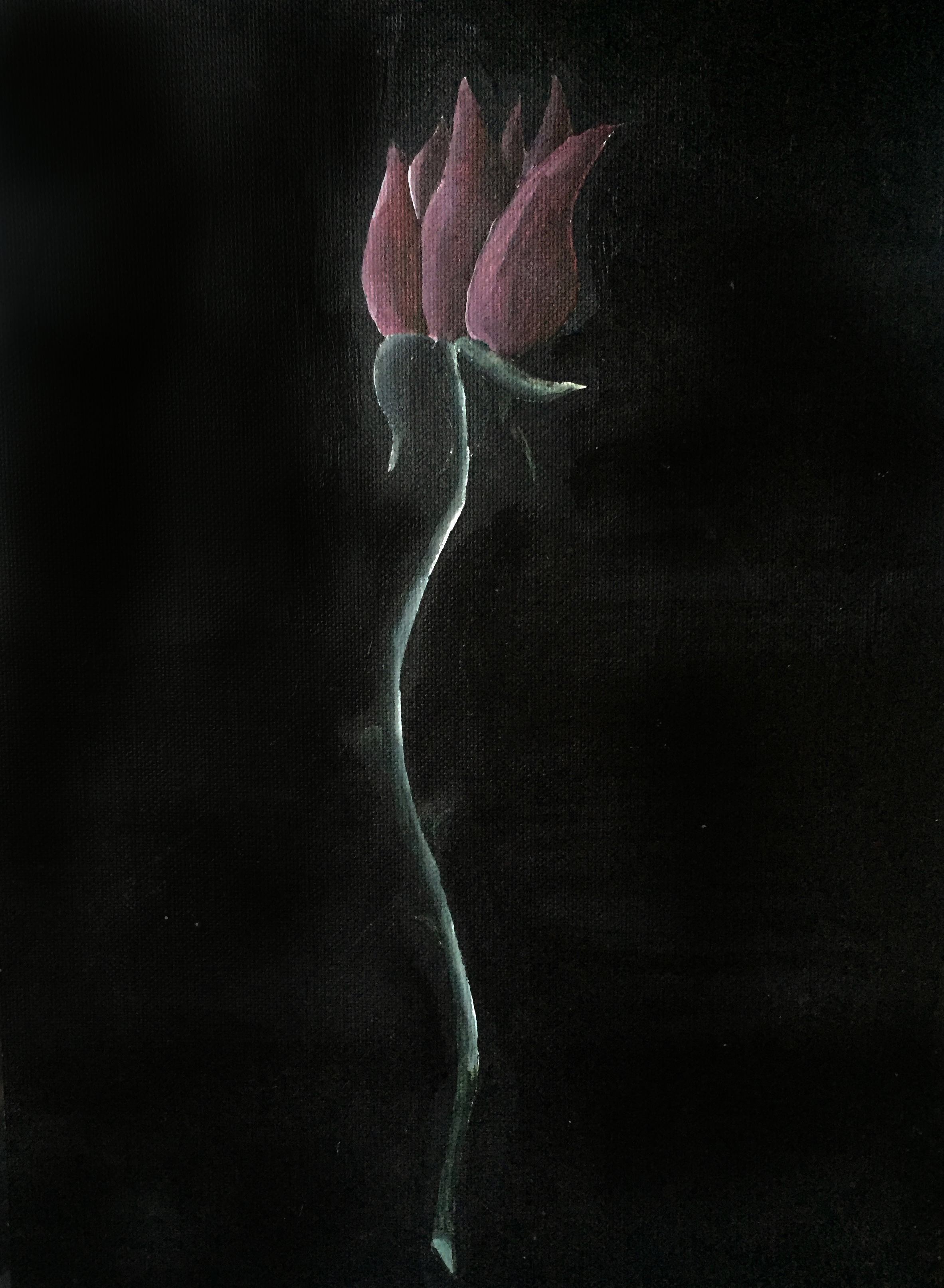 by Rebecca Pons